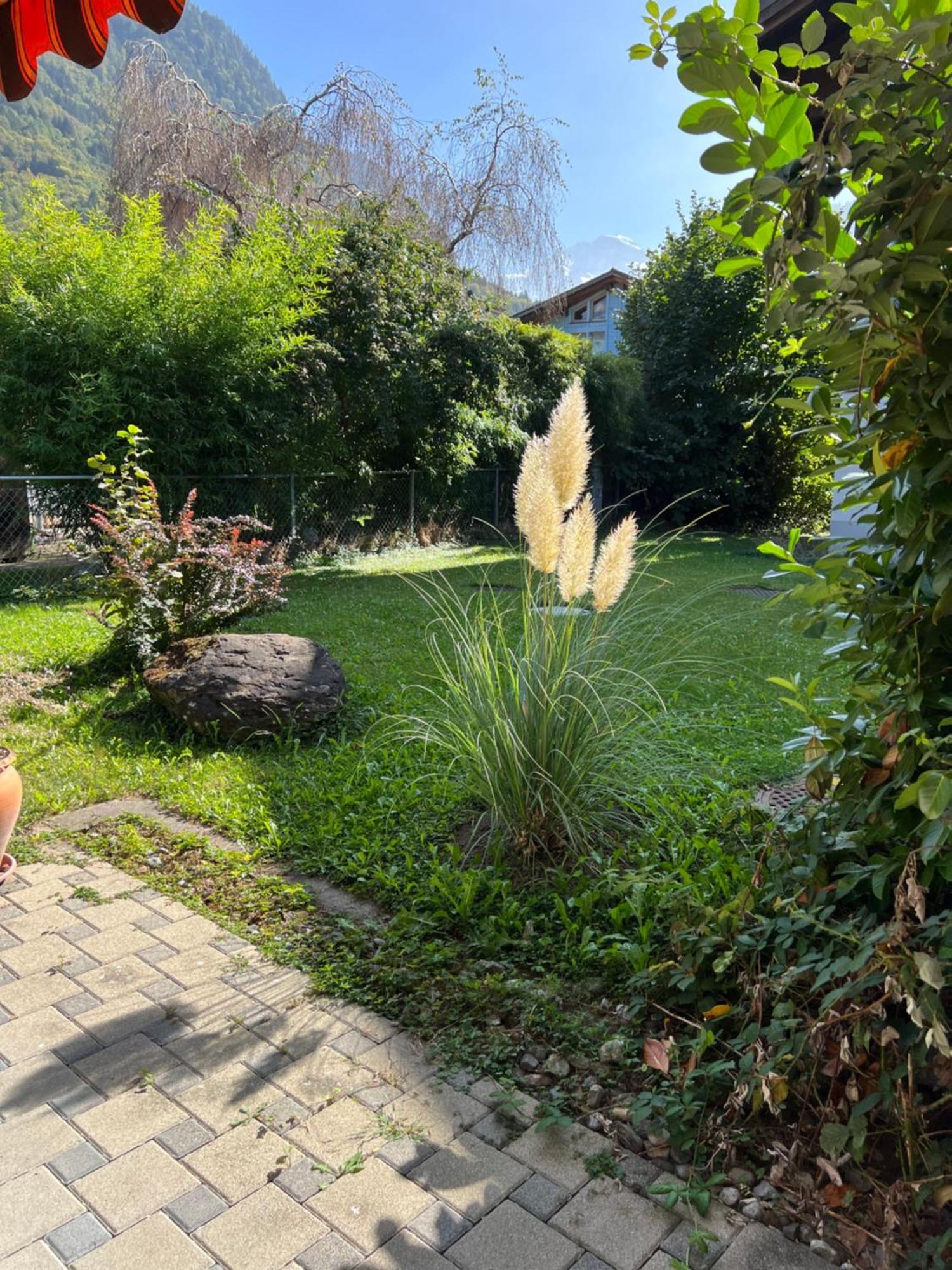 Apartment Laura Wilderswil Zewnętrze zdjęcie